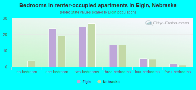 Bedrooms in renter-occupied apartments in Elgin, Nebraska