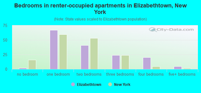 Bedrooms in renter-occupied apartments in Elizabethtown, New York