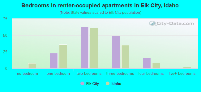 Bedrooms in renter-occupied apartments in Elk City, Idaho
