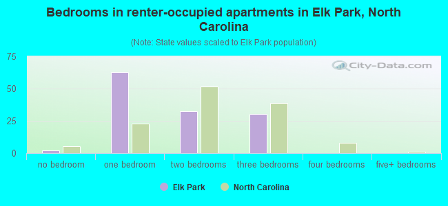 Bedrooms in renter-occupied apartments in Elk Park, North Carolina