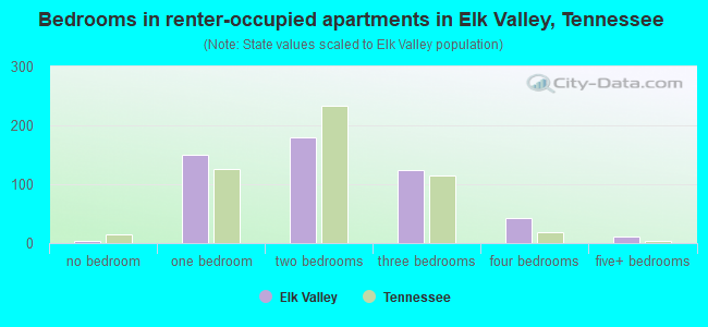 Bedrooms in renter-occupied apartments in Elk Valley, Tennessee