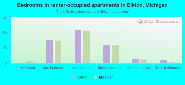 Bedrooms in renter-occupied apartments in Elkton, Michigan