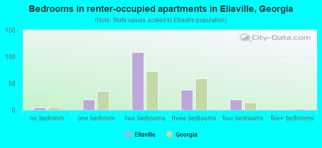Bedrooms in renter-occupied apartments in Ellaville, Georgia