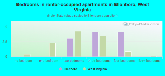 Bedrooms in renter-occupied apartments in Ellenboro, West Virginia