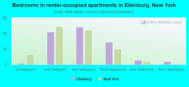 Bedrooms in renter-occupied apartments in Ellenburg, New York