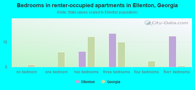 Bedrooms in renter-occupied apartments in Ellenton, Georgia
