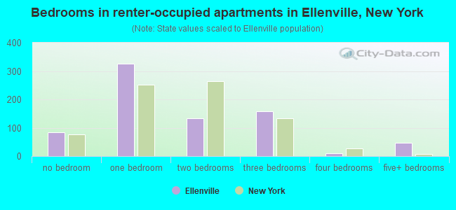 Bedrooms in renter-occupied apartments in Ellenville, New York