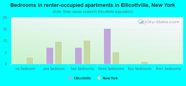 Bedrooms in renter-occupied apartments in Ellicottville, New York