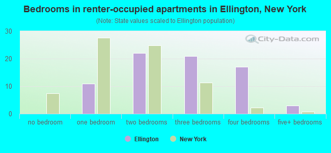 Bedrooms in renter-occupied apartments in Ellington, New York