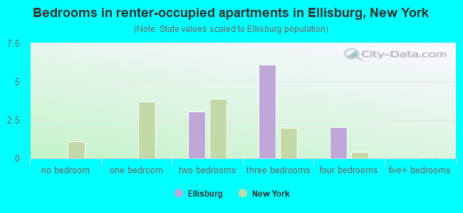 Bedrooms in renter-occupied apartments in Ellisburg, New York
