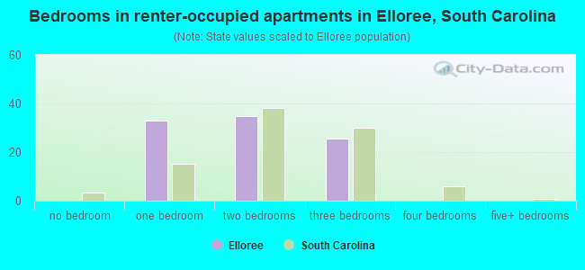 Bedrooms in renter-occupied apartments in Elloree, South Carolina