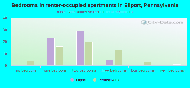 Bedrooms in renter-occupied apartments in Ellport, Pennsylvania