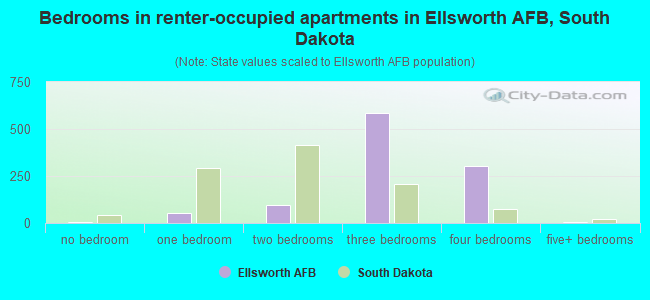Bedrooms in renter-occupied apartments in Ellsworth AFB, South Dakota