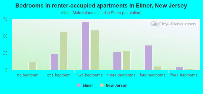 Bedrooms in renter-occupied apartments in Elmer, New Jersey