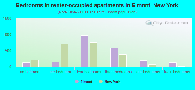 Bedrooms in renter-occupied apartments in Elmont, New York