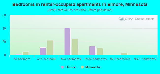 Bedrooms in renter-occupied apartments in Elmore, Minnesota