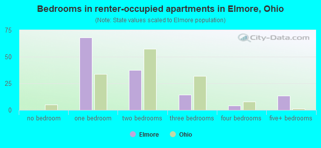 Bedrooms in renter-occupied apartments in Elmore, Ohio