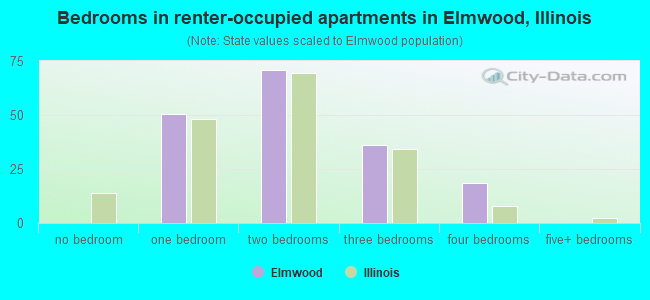 Bedrooms in renter-occupied apartments in Elmwood, Illinois