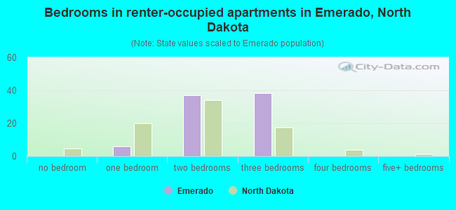 Bedrooms in renter-occupied apartments in Emerado, North Dakota