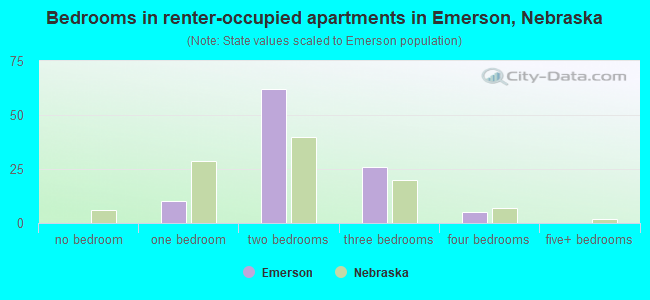 Bedrooms in renter-occupied apartments in Emerson, Nebraska