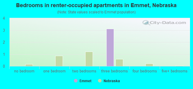 Bedrooms in renter-occupied apartments in Emmet, Nebraska