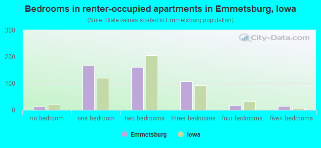 Bedrooms in renter-occupied apartments in Emmetsburg, Iowa