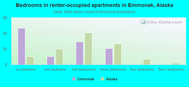 Bedrooms in renter-occupied apartments in Emmonak, Alaska