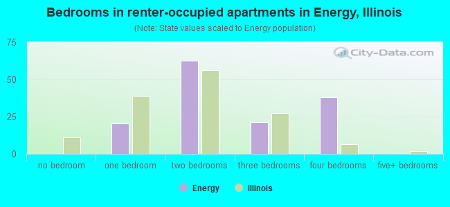 Bedrooms in renter-occupied apartments in Energy, Illinois