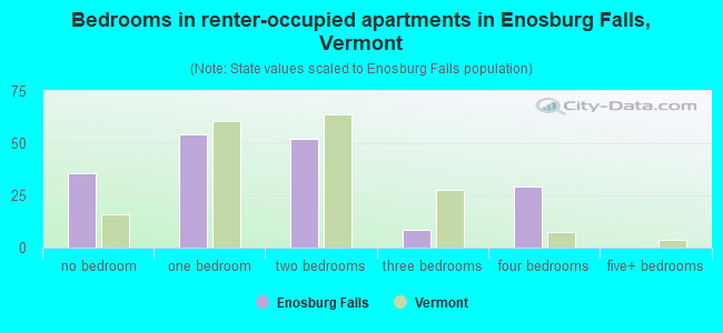 Bedrooms in renter-occupied apartments in Enosburg Falls, Vermont