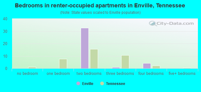Bedrooms in renter-occupied apartments in Enville, Tennessee