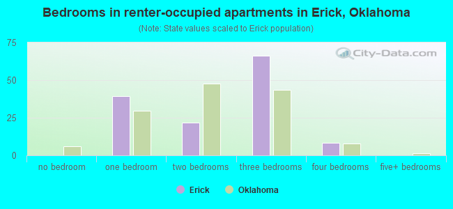 Bedrooms in renter-occupied apartments in Erick, Oklahoma