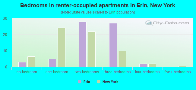 Bedrooms in renter-occupied apartments in Erin, New York