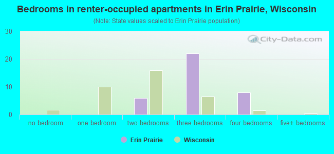 Bedrooms in renter-occupied apartments in Erin Prairie, Wisconsin