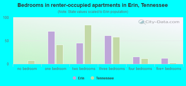 Bedrooms in renter-occupied apartments in Erin, Tennessee