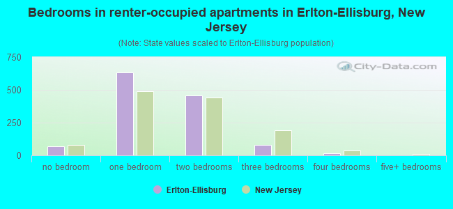 Bedrooms in renter-occupied apartments in Erlton-Ellisburg, New Jersey