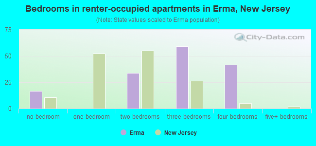 Bedrooms in renter-occupied apartments in Erma, New Jersey