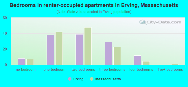 Bedrooms in renter-occupied apartments in Erving, Massachusetts
