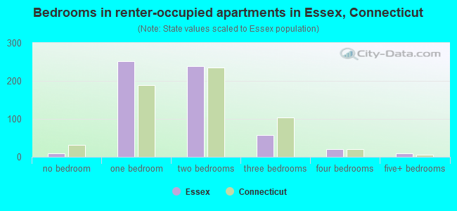 Bedrooms in renter-occupied apartments in Essex, Connecticut