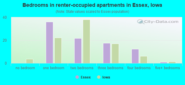 Bedrooms in renter-occupied apartments in Essex, Iowa