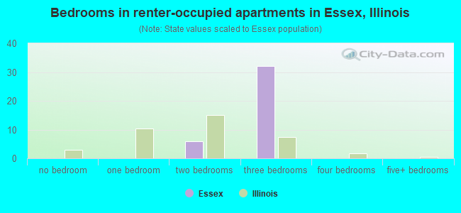 Bedrooms in renter-occupied apartments in Essex, Illinois