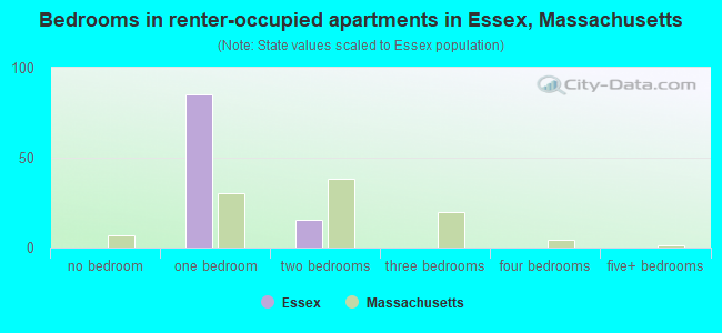 Bedrooms in renter-occupied apartments in Essex, Massachusetts
