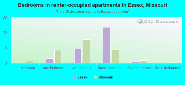 Bedrooms in renter-occupied apartments in Essex, Missouri