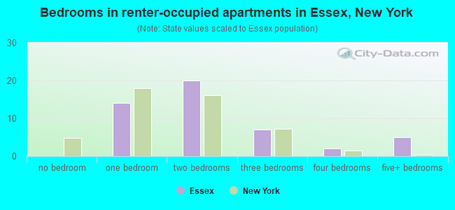 Bedrooms in renter-occupied apartments in Essex, New York