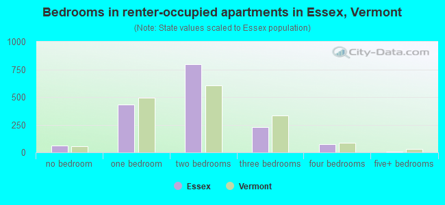 Bedrooms in renter-occupied apartments in Essex, Vermont