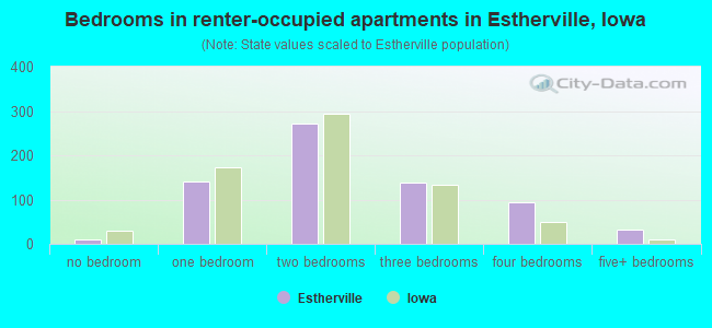 Bedrooms in renter-occupied apartments in Estherville, Iowa