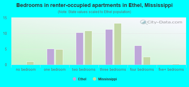 Bedrooms in renter-occupied apartments in Ethel, Mississippi