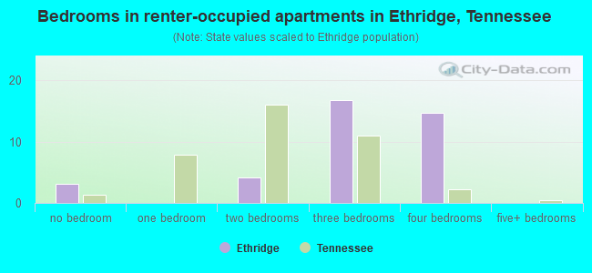 Bedrooms in renter-occupied apartments in Ethridge, Tennessee
