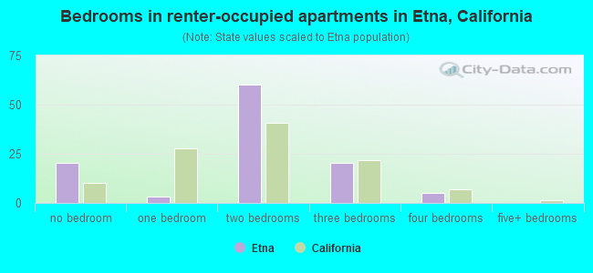 Bedrooms in renter-occupied apartments in Etna, California