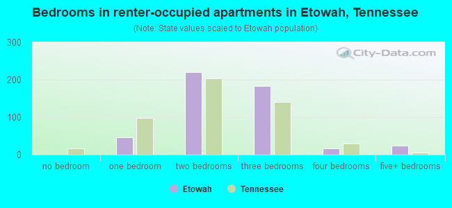 Bedrooms in renter-occupied apartments in Etowah, Tennessee