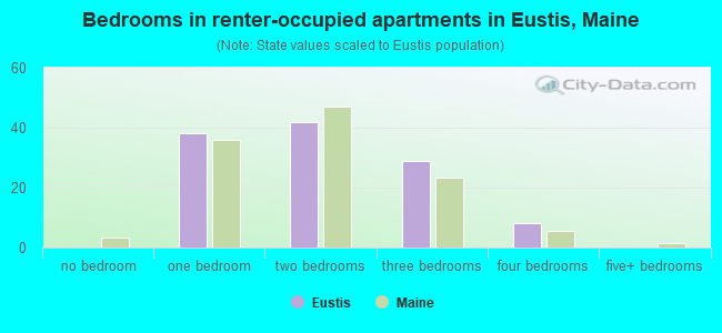 Bedrooms in renter-occupied apartments in Eustis, Maine